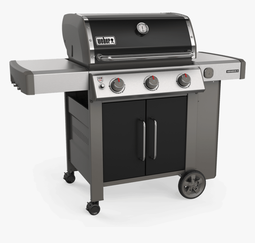 E-315 - Weber Genesis Ii E 315, HD Png Download