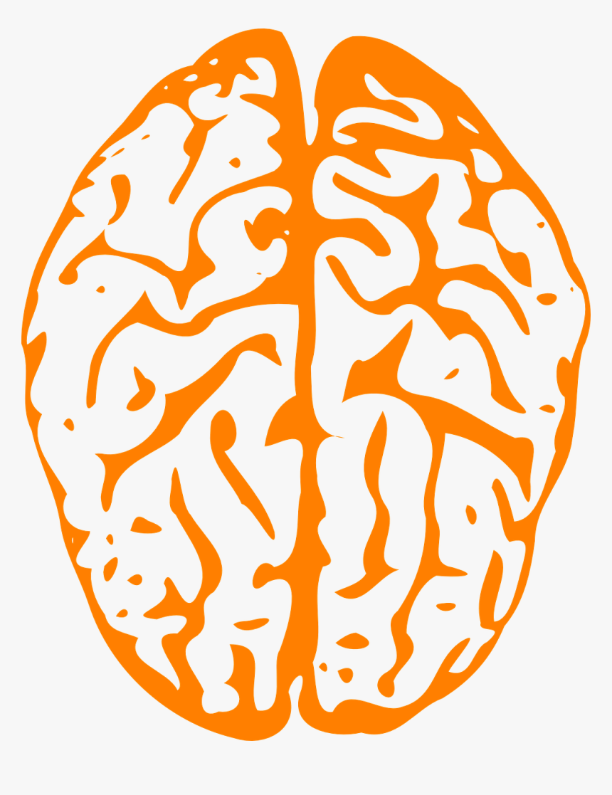 Blue Brain Png, Transparent Png
