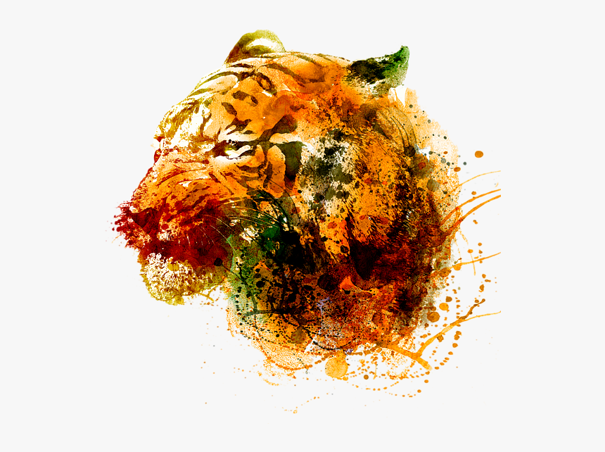 Transparent Tiger Face Png - Towel, Png Download