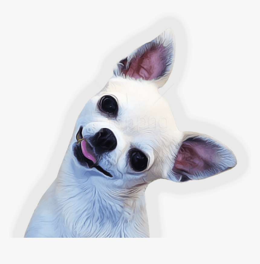 Download Side Png Images - Png Chihuahua, Transparent Png