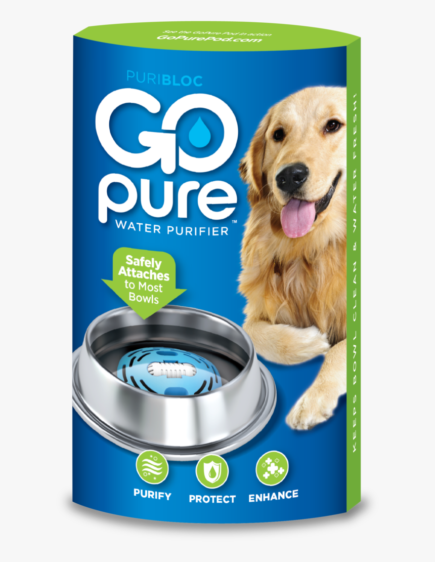 Dog Catches Something, HD Png Download