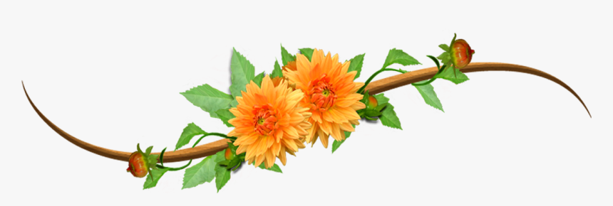 No Orange Clip Art - Orange Flower Clip Art, HD Png Download