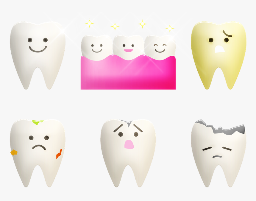 Dental, Teeth, Dental Assistant, Dentist, Toothpaste, HD Png Download