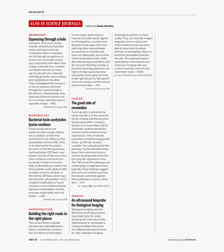 Transparent Scattered Papers Png - Throw Of The Dice By Stéphane Mallarmé,accompanied, Png Download