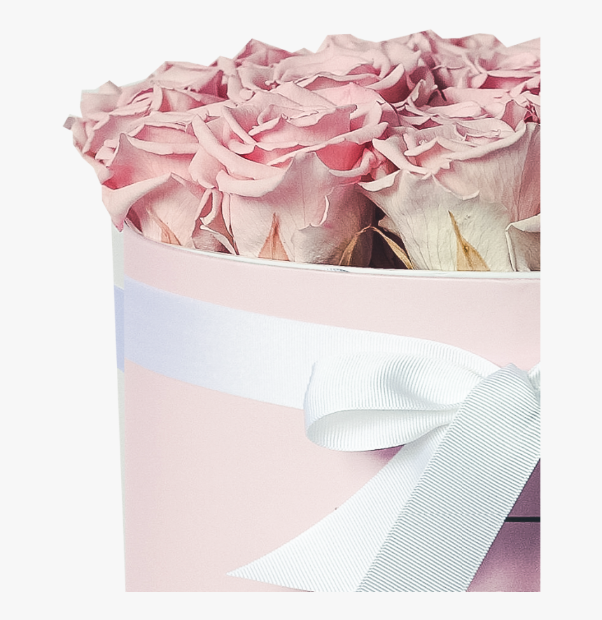 Hydrangea, HD Png Download
