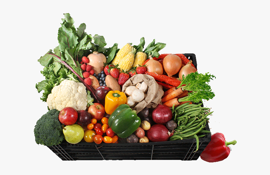 Harvest Basket Vegetables, HD Png Download