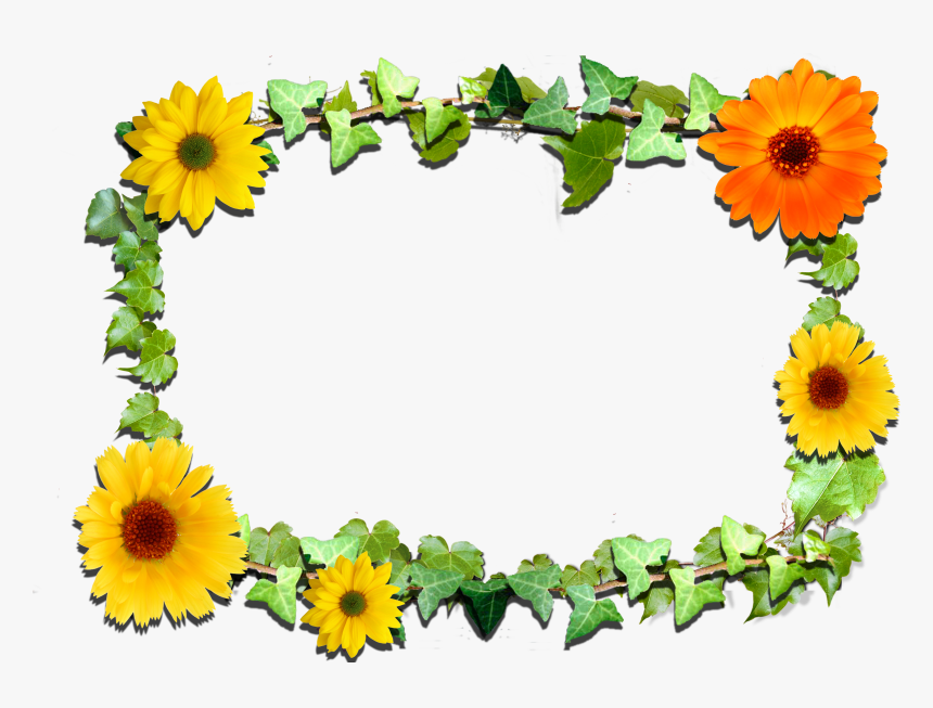 Stock Flower Frame Clipart, HD Png Download
