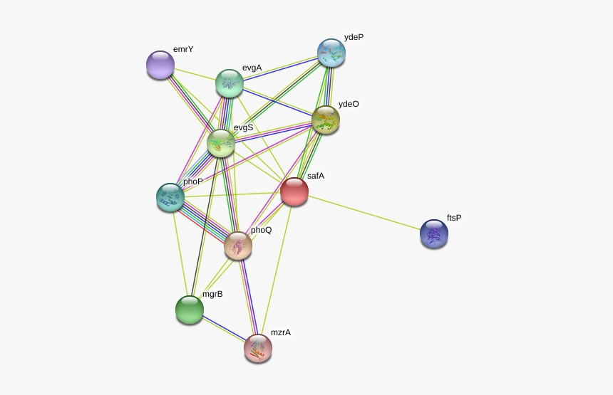 Safa Protein - Circle, HD Png Download