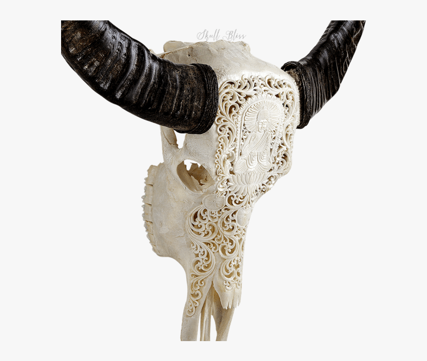 Carved Buffalo Skull - Horn, HD Png Download