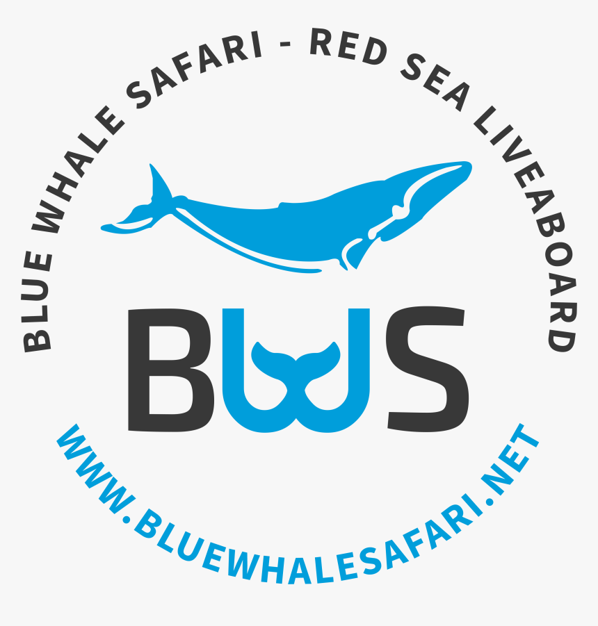 California Healthcare Interpreting Association, HD Png Download