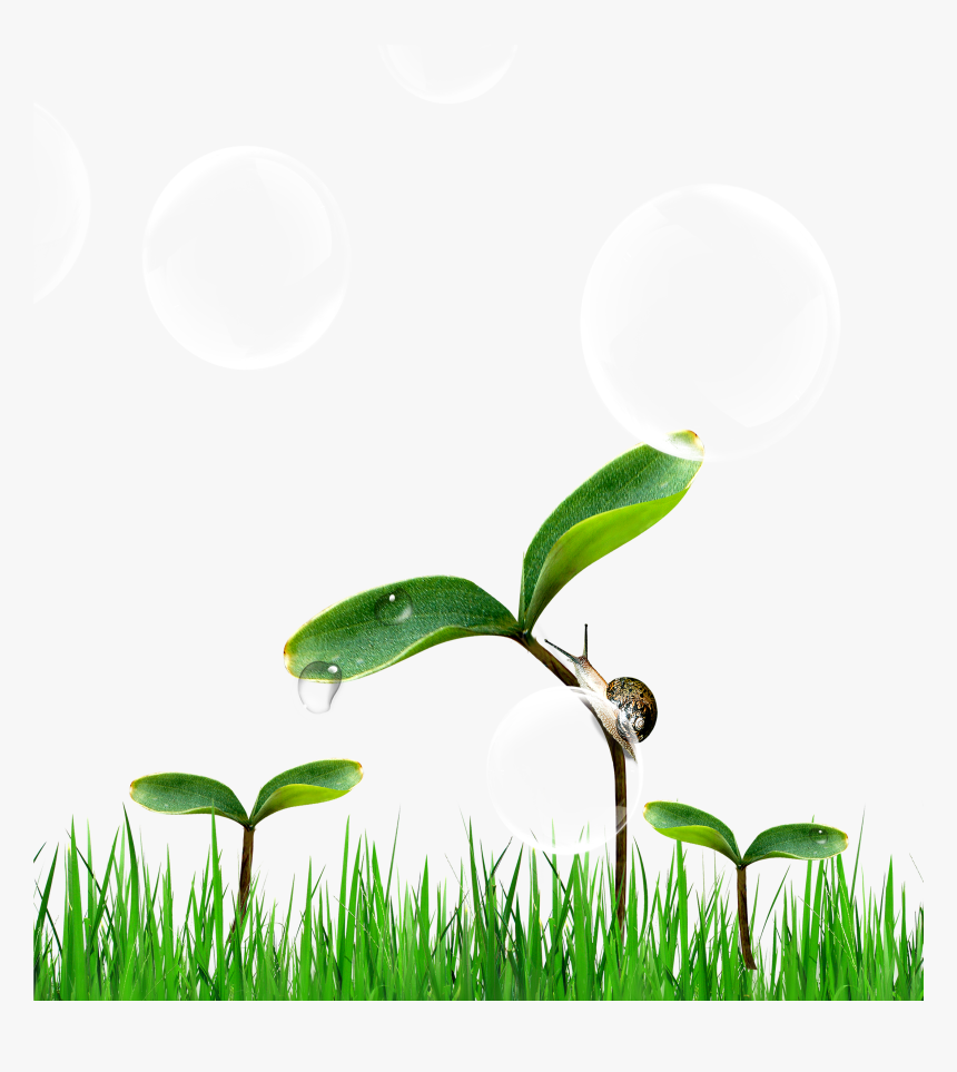 Green Wallpaper Png - Portable Network Graphics, Transparent Png