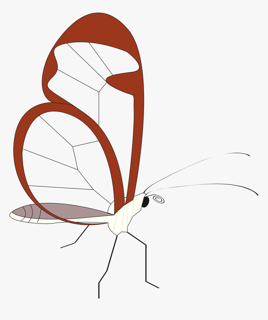 Butterfly,flower,angle - Clip Art, HD Png Download