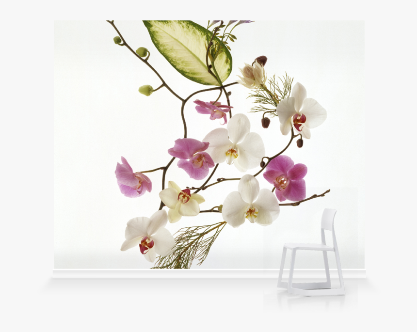 Delicate Flowers, HD Png Download