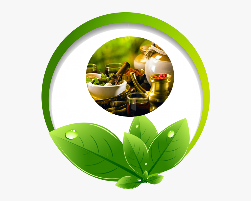 Fall Yoga And Ayurveda, HD Png Download