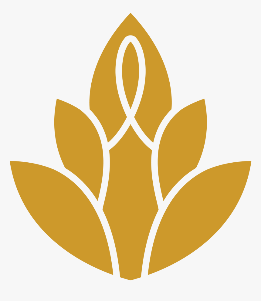 Auric Drink Logo, HD Png Download