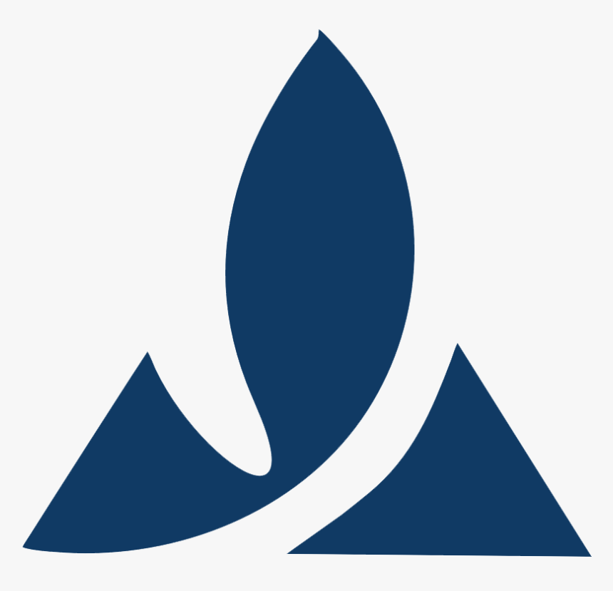 Black Logo - Nisarg Pharma Logo, HD Png Download