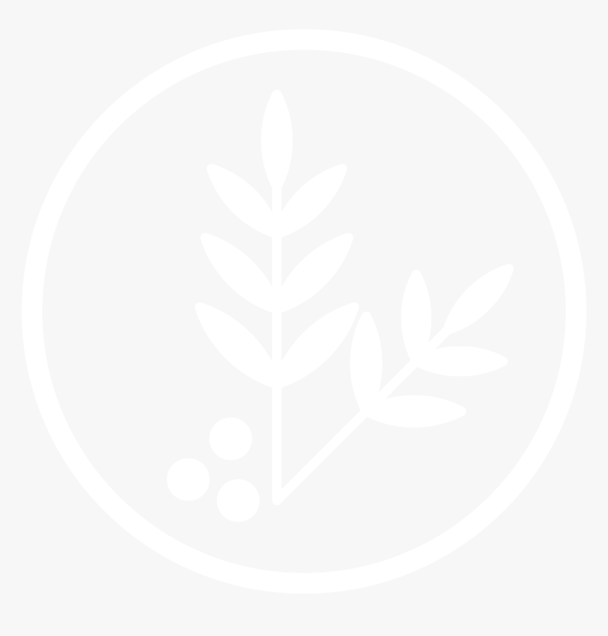 Circle, HD Png Download