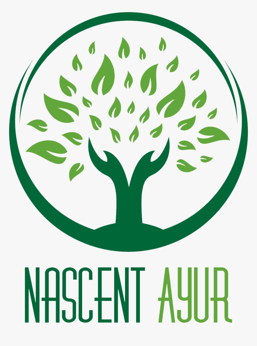 Healthflex - Bridlington Vegan Festival, HD Png Download