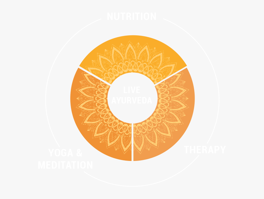 Circle, HD Png Download