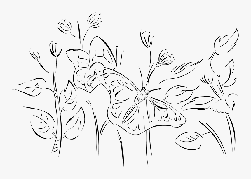 Drawing - Line Art, HD Png Download