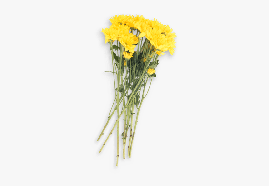 Bouquet, HD Png Download