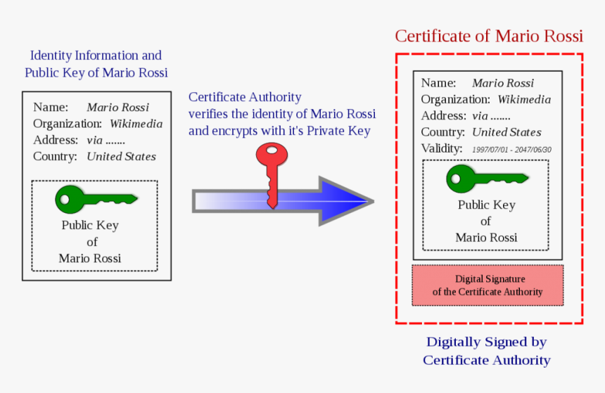 What Is A Certificate Authority - Public Key Certificate, HD Png Download