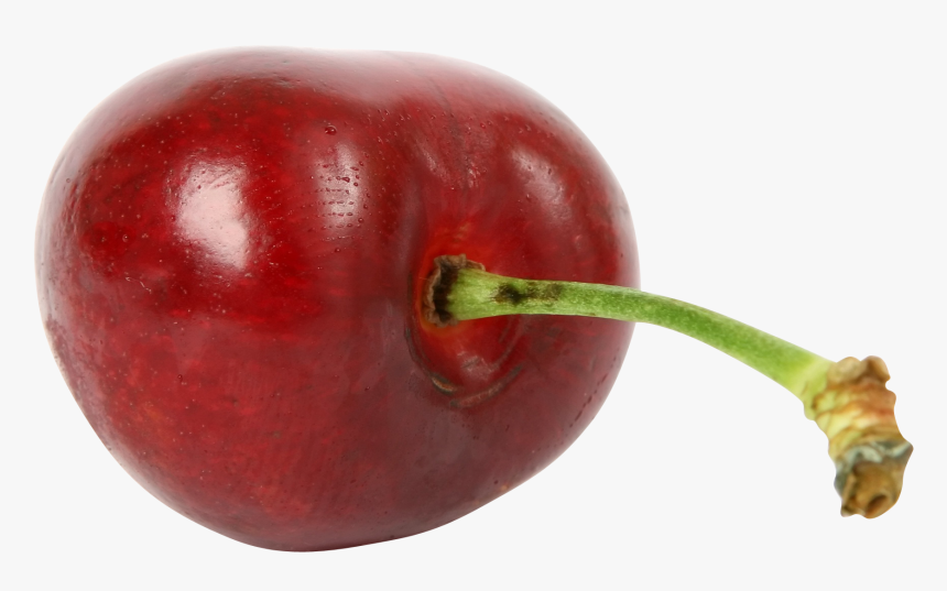 Tallo De Una Fruta, HD Png Download
