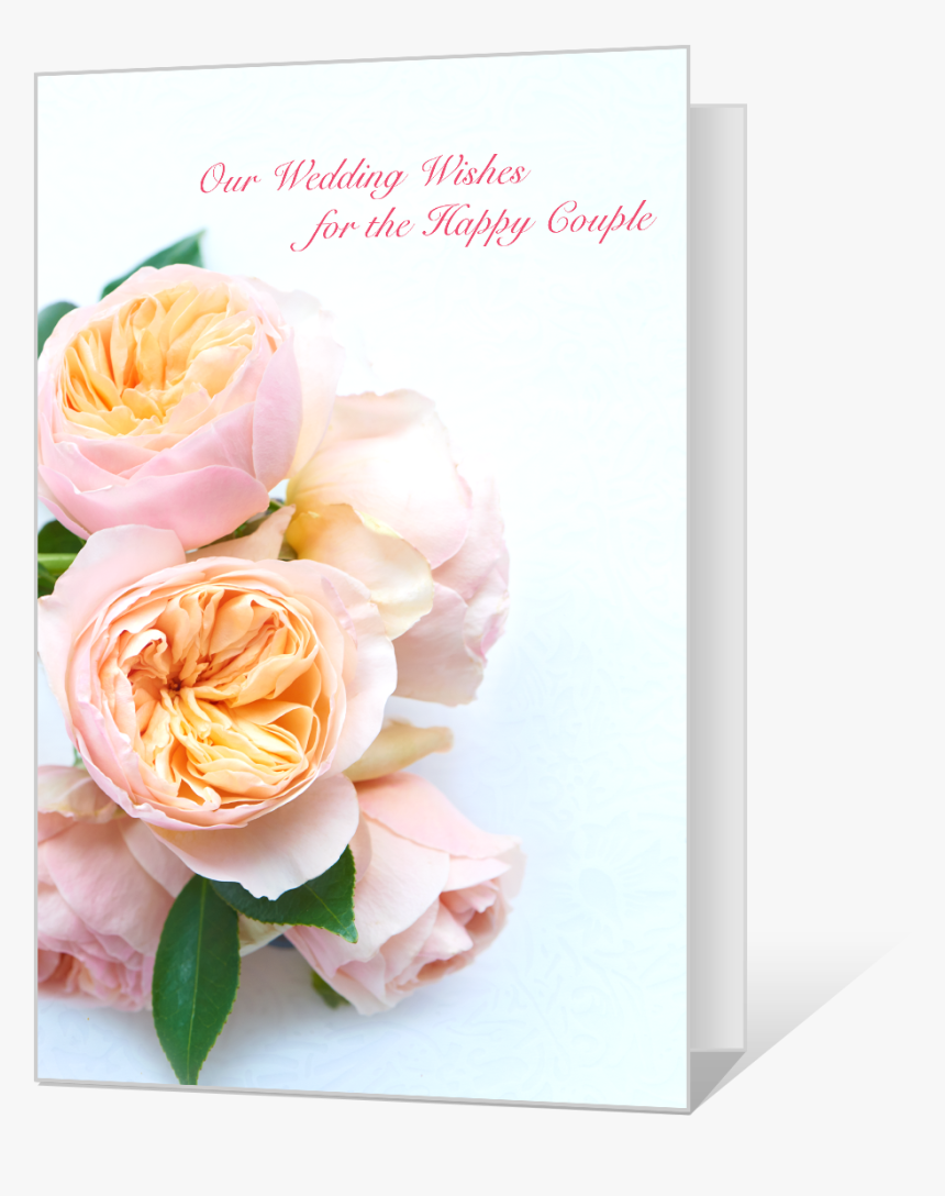 Wedding Wishes - Hybrid Tea Rose, HD Png Download