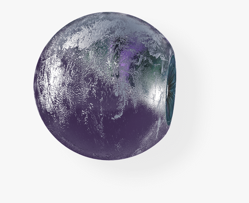 Circle, HD Png Download