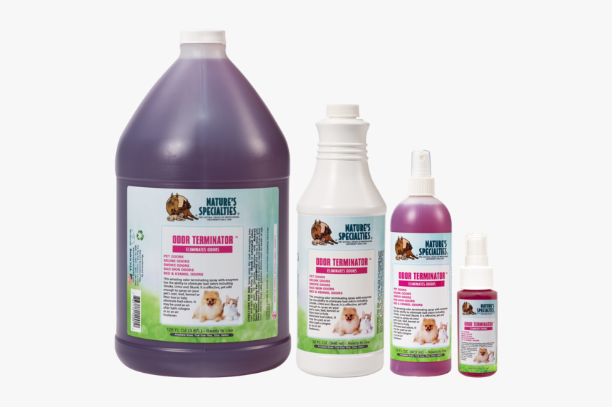 Companion Dog, HD Png Download