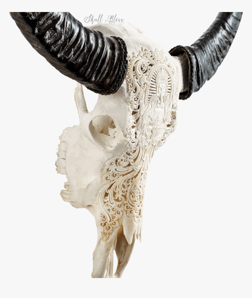 Bull, HD Png Download