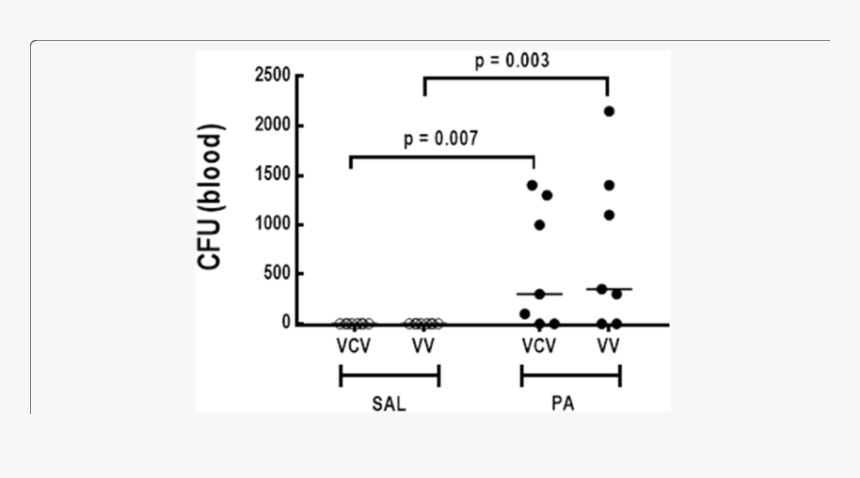 Diagram, HD Png Download