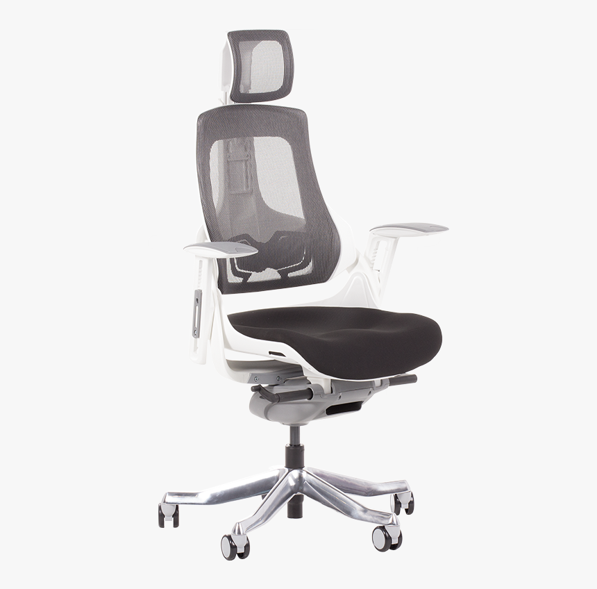 Ergonomische Stoelen Voor Menselijk Lichaam, HD Png Download