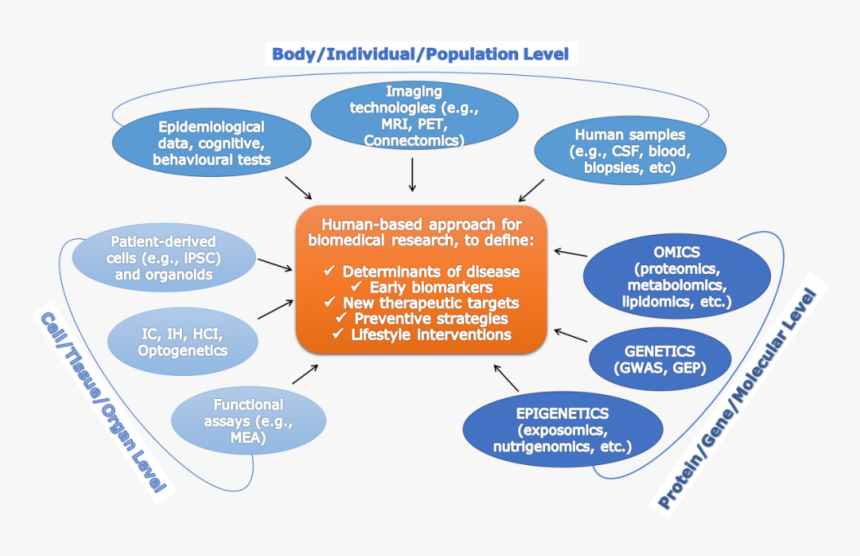 Circle, HD Png Download