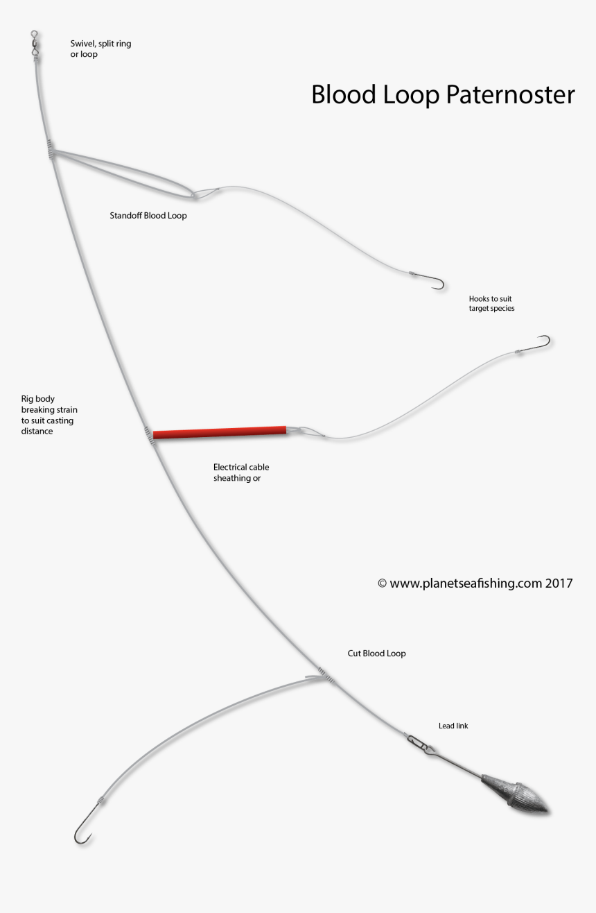 Blood Loop Paternoster - Tie A Paternoster Rig, HD Png Download