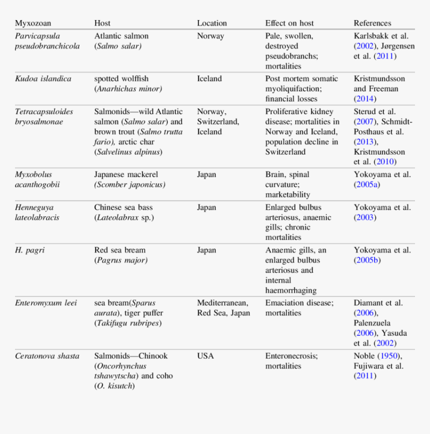 Myxozoa Examples, HD Png Download
