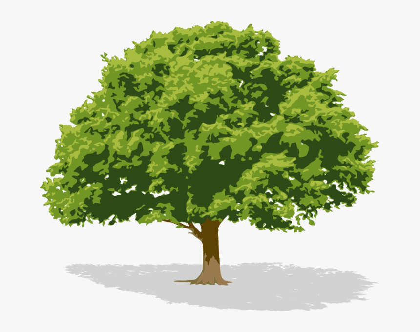 Tree Service Business Cards, HD Png Download