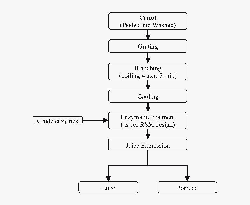 Carrot Juice, HD Png Download