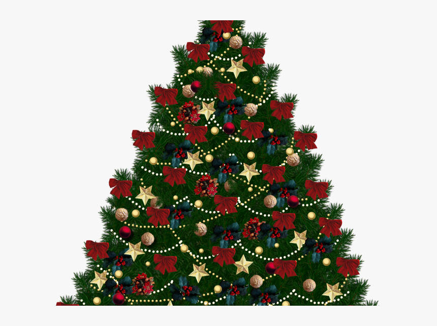 Christmas Trees Transparent Background, HD Png Download