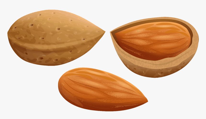 Almond Free To - Almonds Clipart, HD Png Download