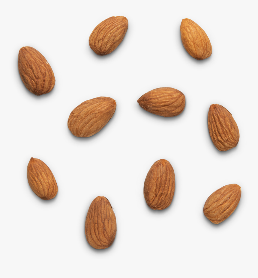 Real Food, Real Fuel - Almond, HD Png Download