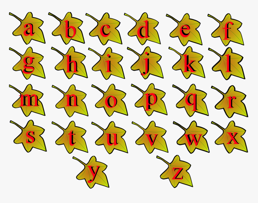 Teacher, HD Png Download