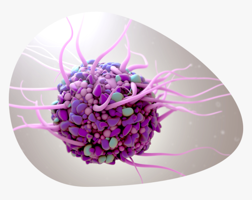 Microambiente De Las Celulas, HD Png Download
