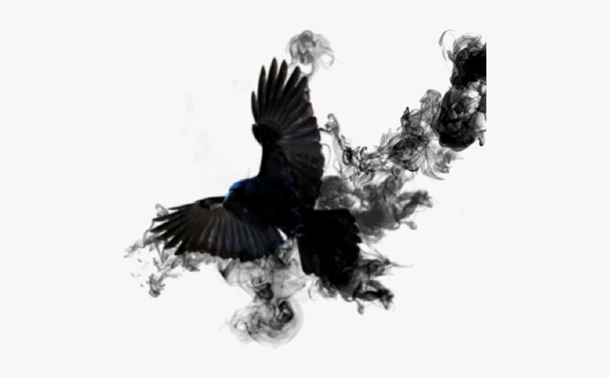 #crow #sticker #smoke #bird #black #wings #feathed - American Crow, HD Png Download