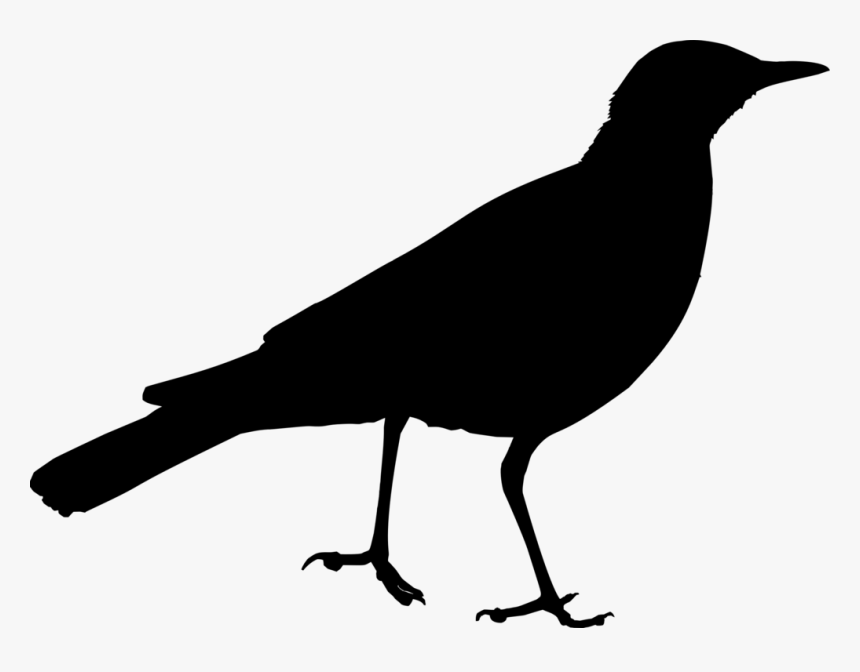 Silhouette,monochrome Photography,crow - Clip Art, HD Png Download
