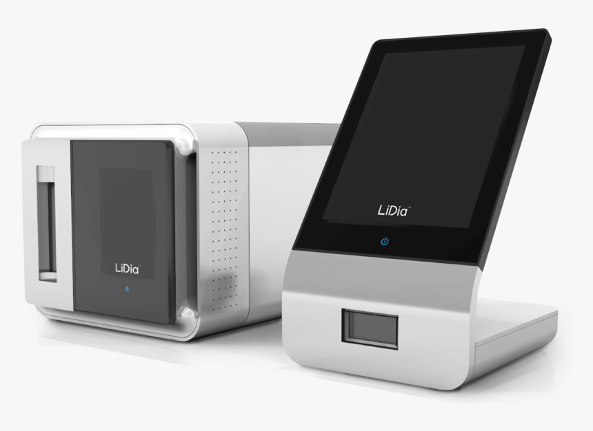 Lidia Dnae, HD Png Download