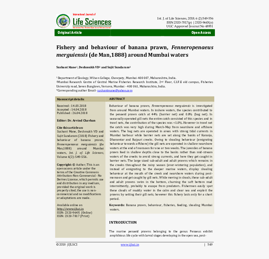 Screenshot, HD Png Download