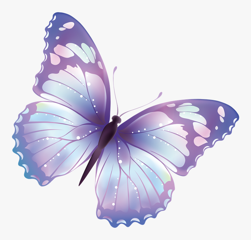 Buscar Con Google - Butterfly Clipart Transparent Background, HD Png Download
