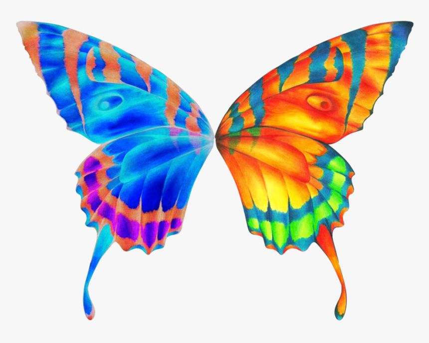 Thumb Image - Butterfly Wings Clipart Png, Transparent Png