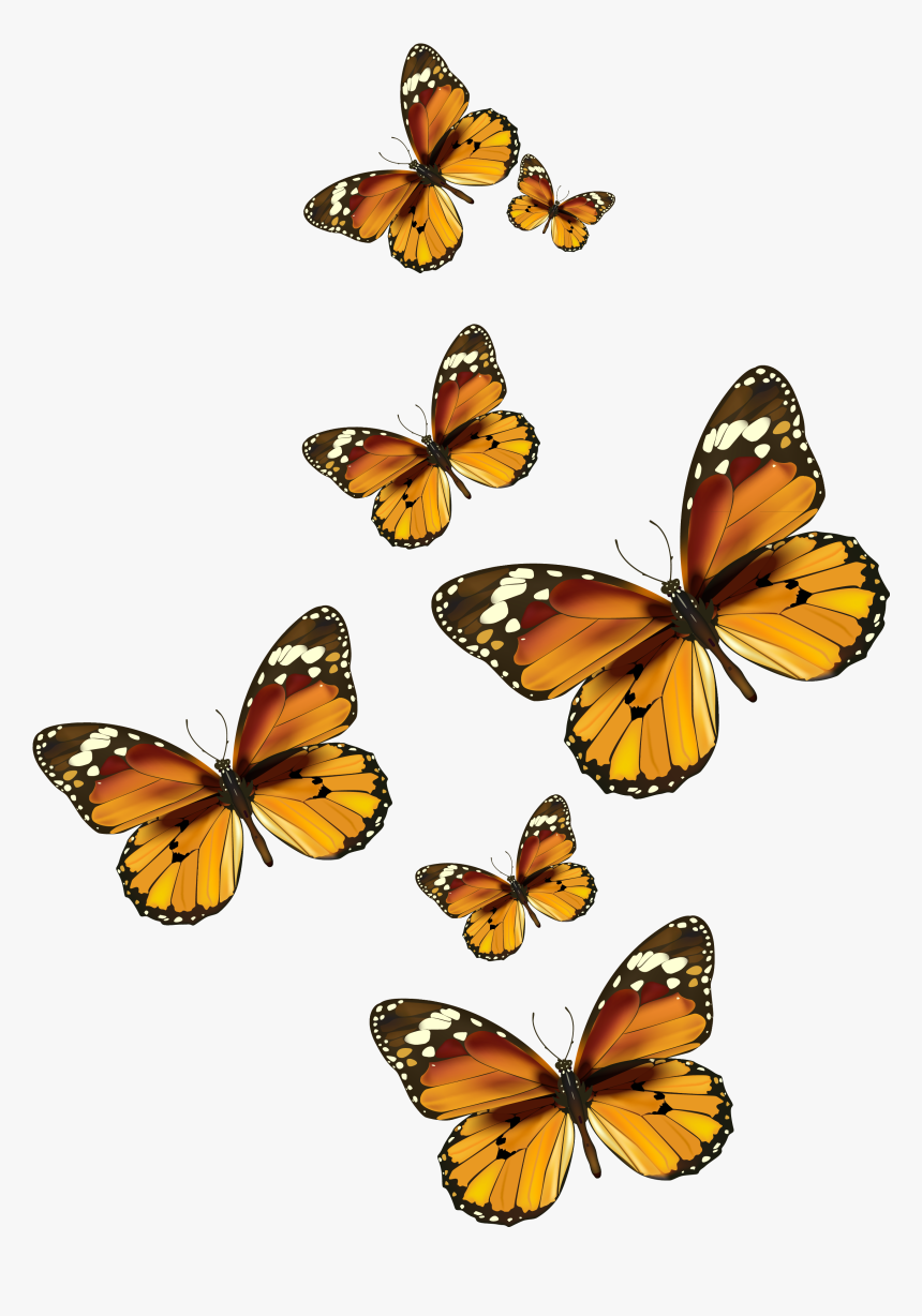 Butterflies Vector Png Clipart Pictureu200b Gallery - Painted Lady Butterfly Clip Art, Transparent Png